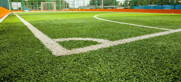 keep your turf in perfect condition