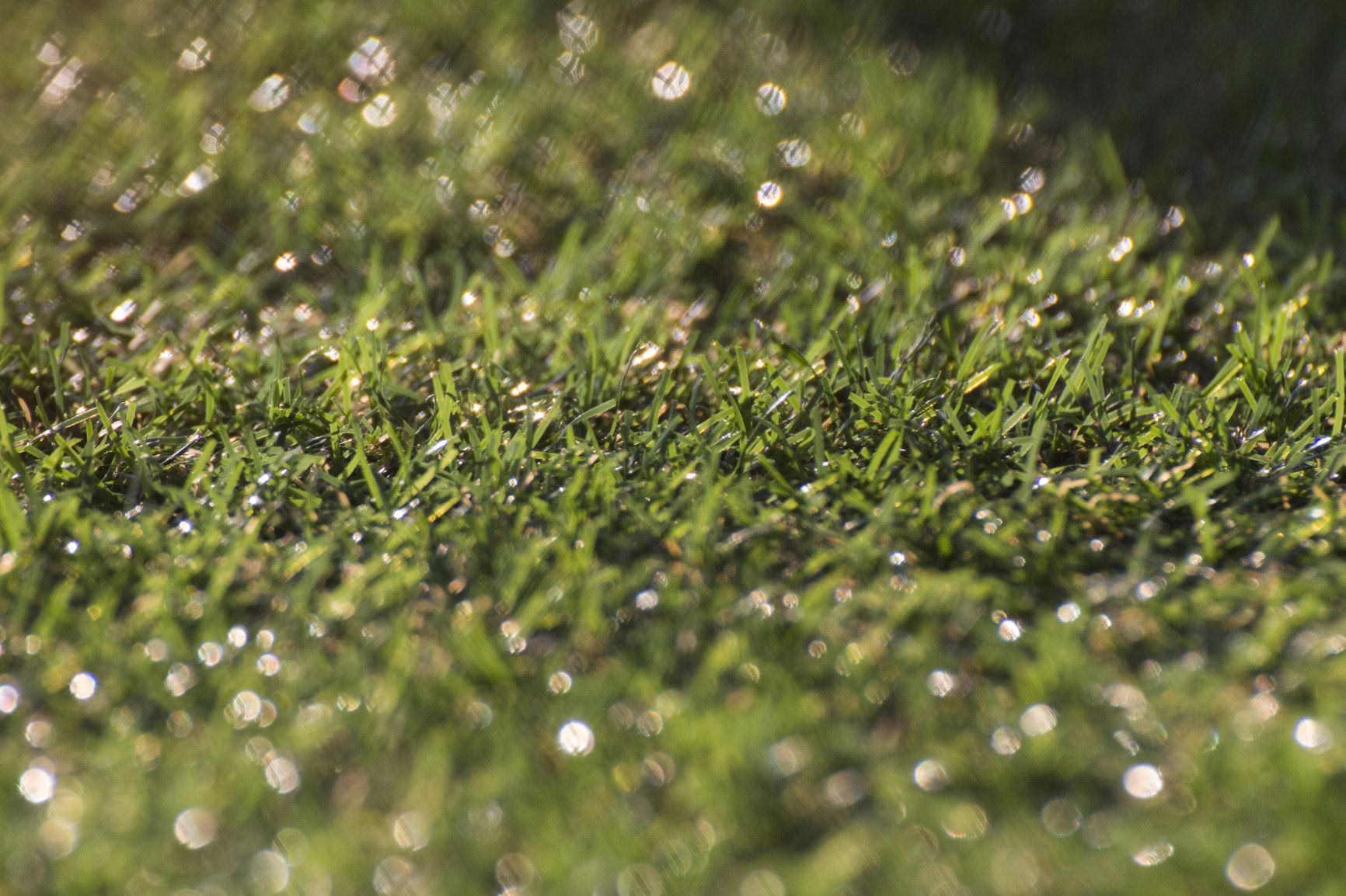 How Can Synthetic Turf Increase Player Safety