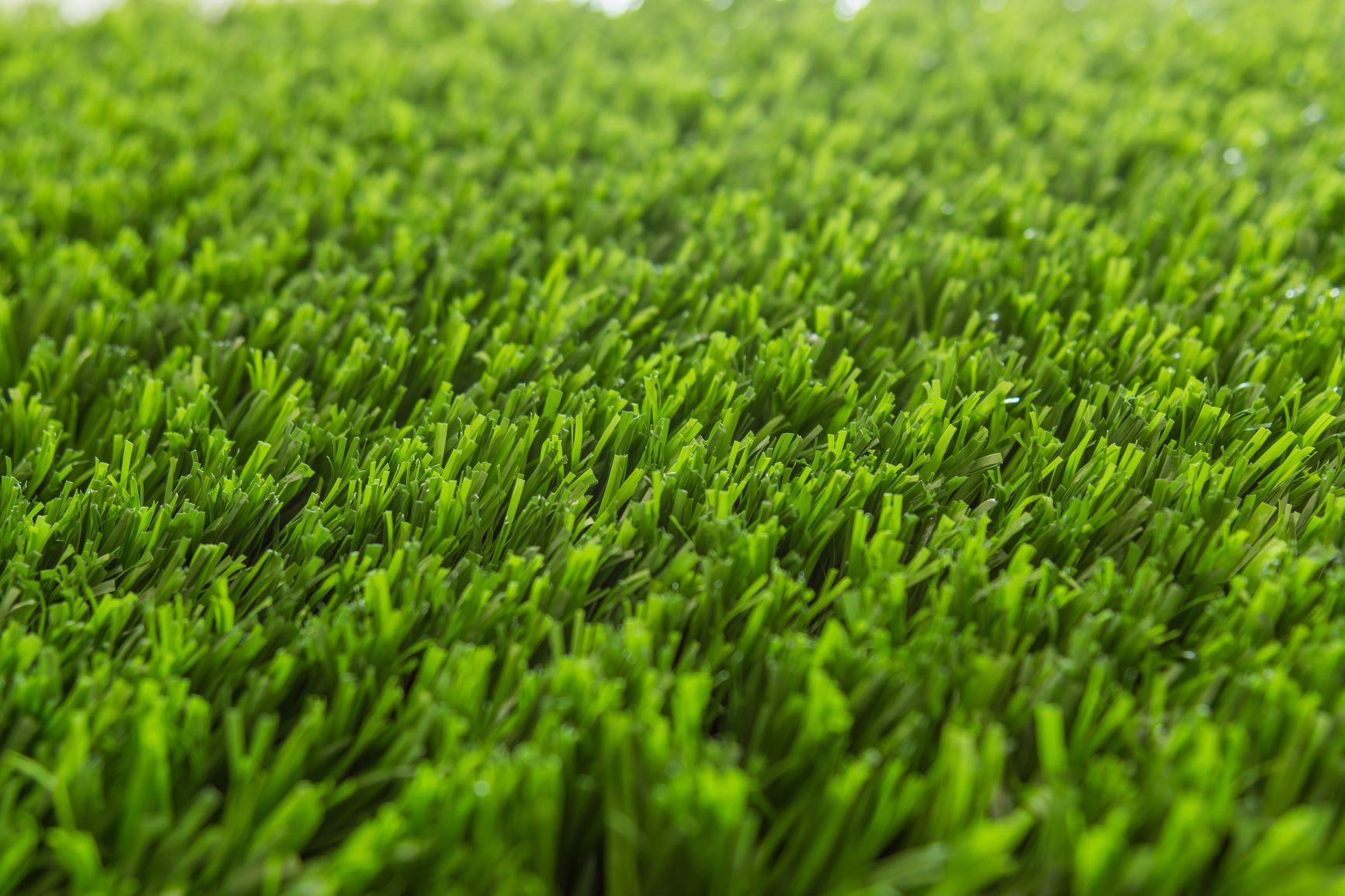 Пластиковое поле. Газон Гном Грас. Synthetic Turf. Трава газон. Газон вблизи.