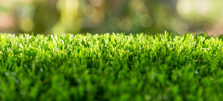 Difference Between These 4 Types of Turf Products