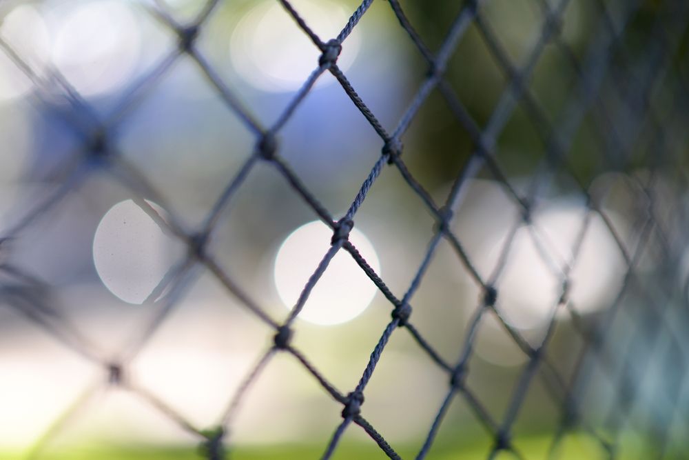 Don’t Forget About the Netting; Why you should Upgrade Your Turf & Netting