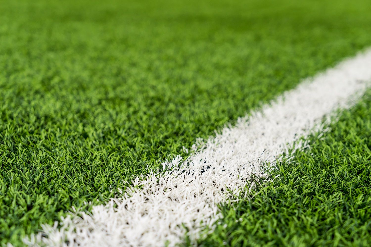 5 Things You Should Know Before Investing in Sports Fields