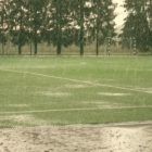 Turf Care Guides After Harsh Weather