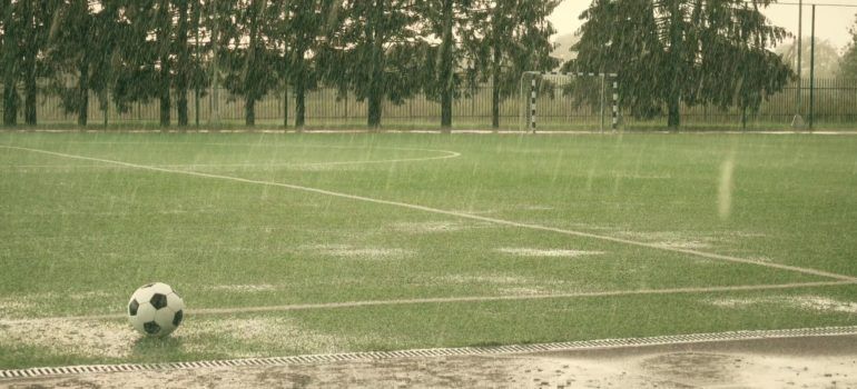 Turf Care Guides After Harsh Weather