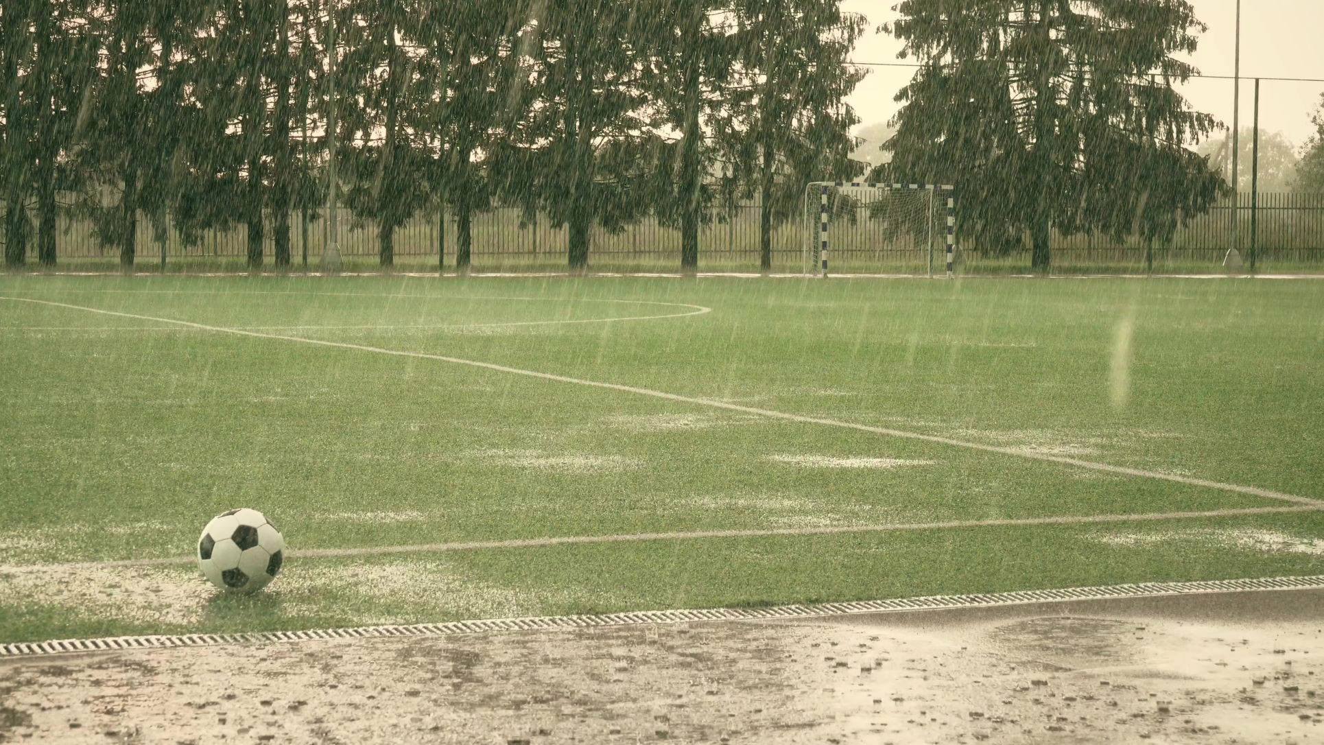 Turf Care Guides After Harsh Weather