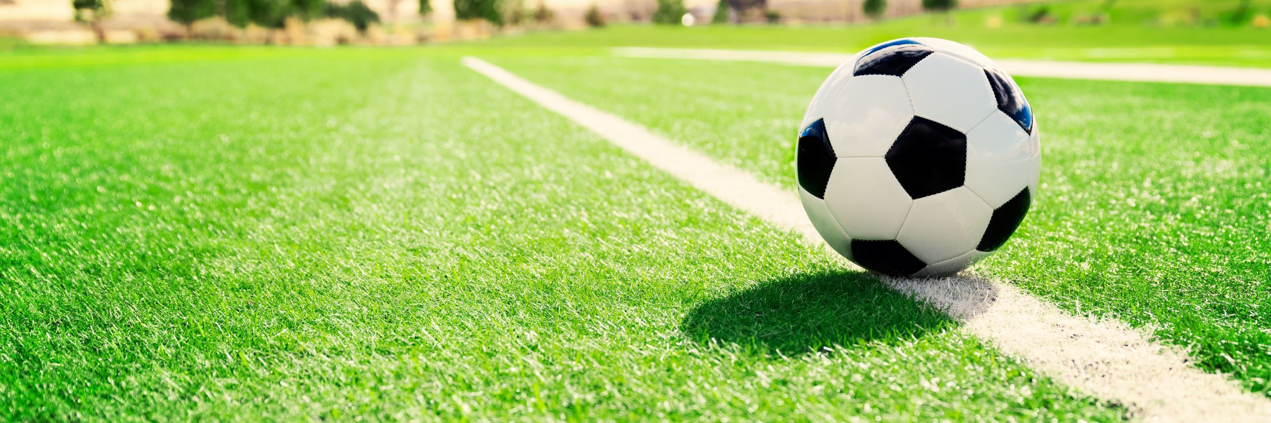 The Benefits Of Using a Professional When It Comes To Building Your Soccer Field