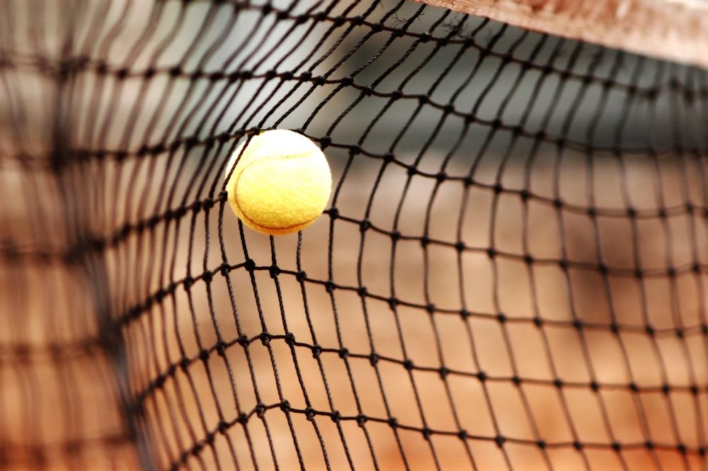 Replace Old Netting To Keep Your Facilities Like-New