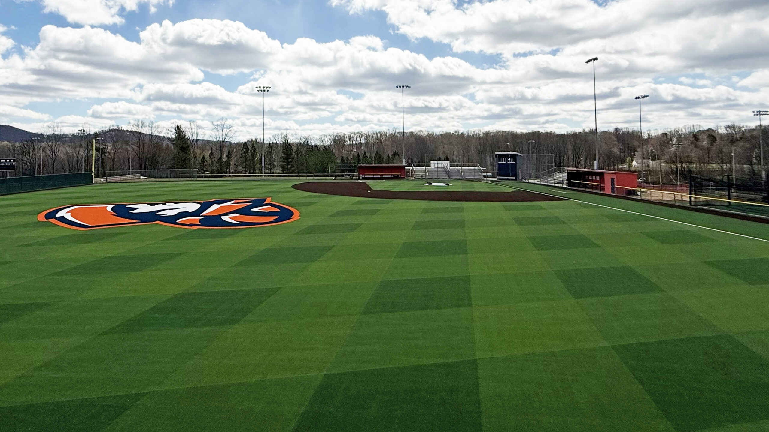 Lynchburg City Schools - Heritage HS Baseball Turf 6